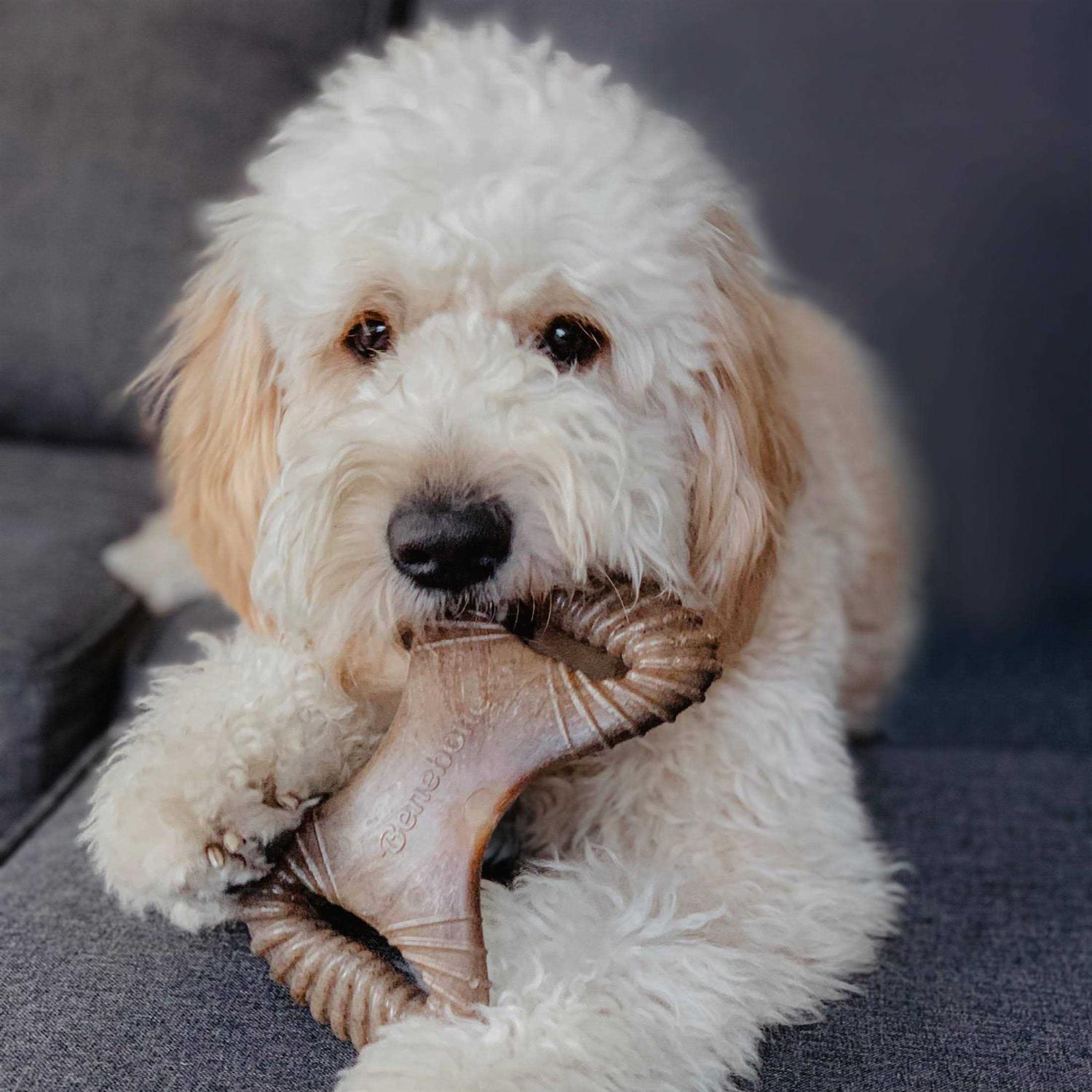 Benebone Dental Chew Dog Toy - Healthber