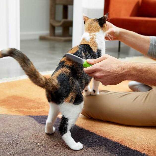 Frisco Single-Row Flea Comb for Cats & Dogs - Healthber