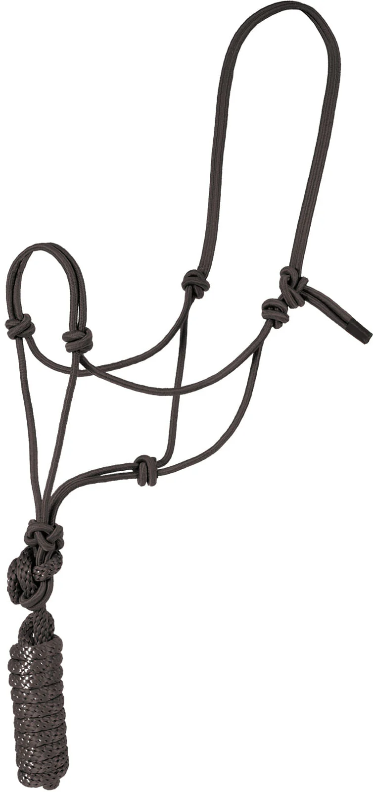 Rope Halter with Lead, 6 pk - Healthber