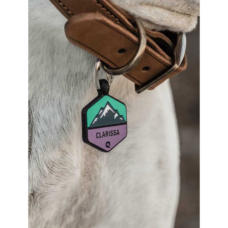 QALO customized Silicone Dog ID Tag - Healthber