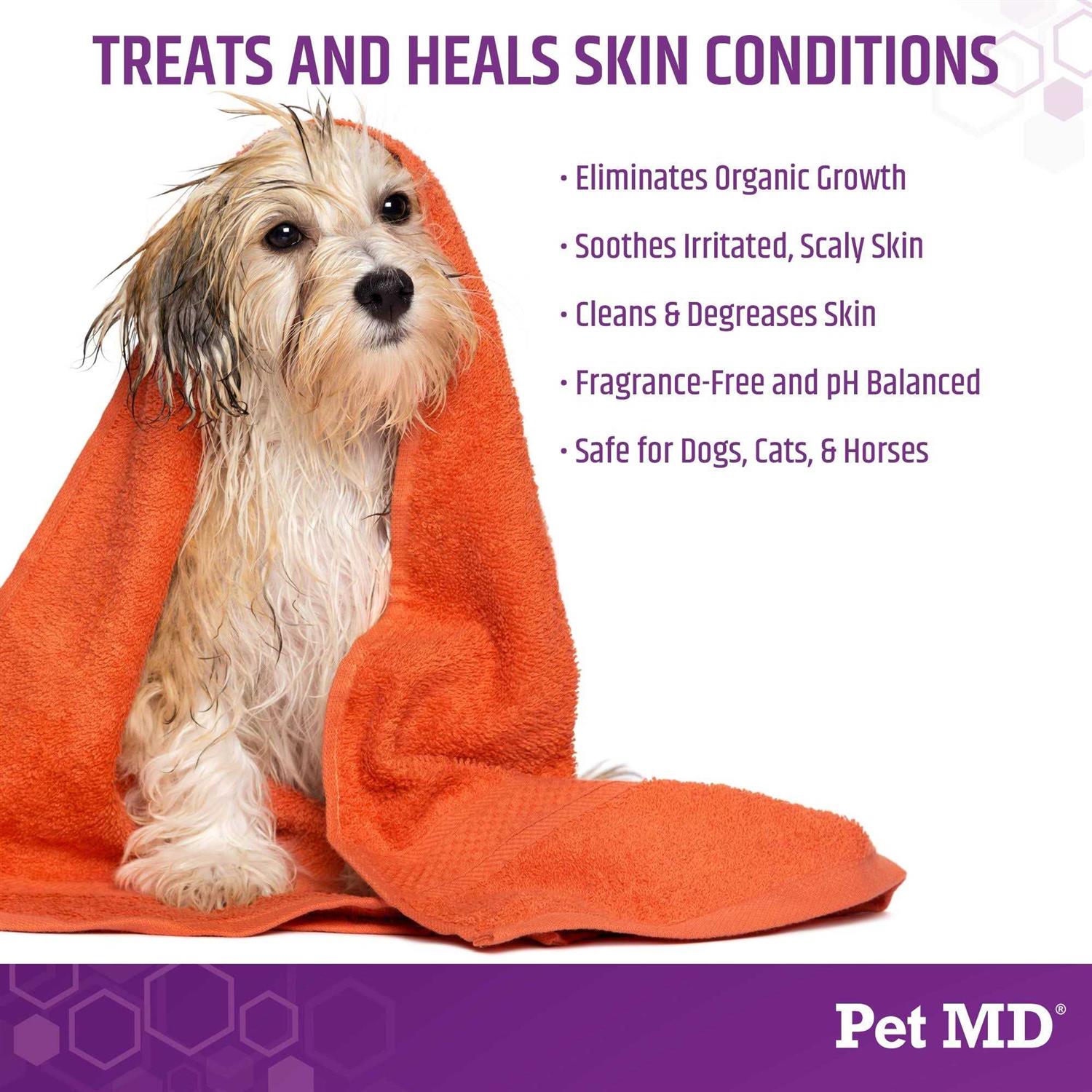 Pet MD Store Micoseb-CX Medicated Shampoo for Dogs - Healthber