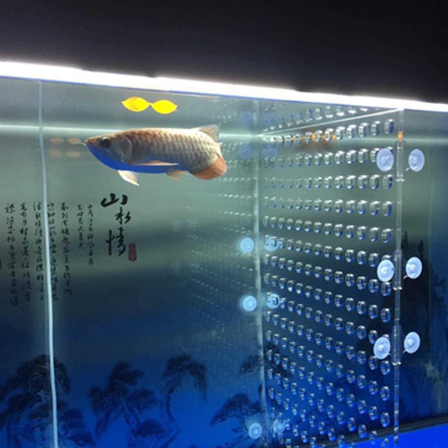 Tank Acrylic Divider Isolation Board with Suction Cups - Healthber