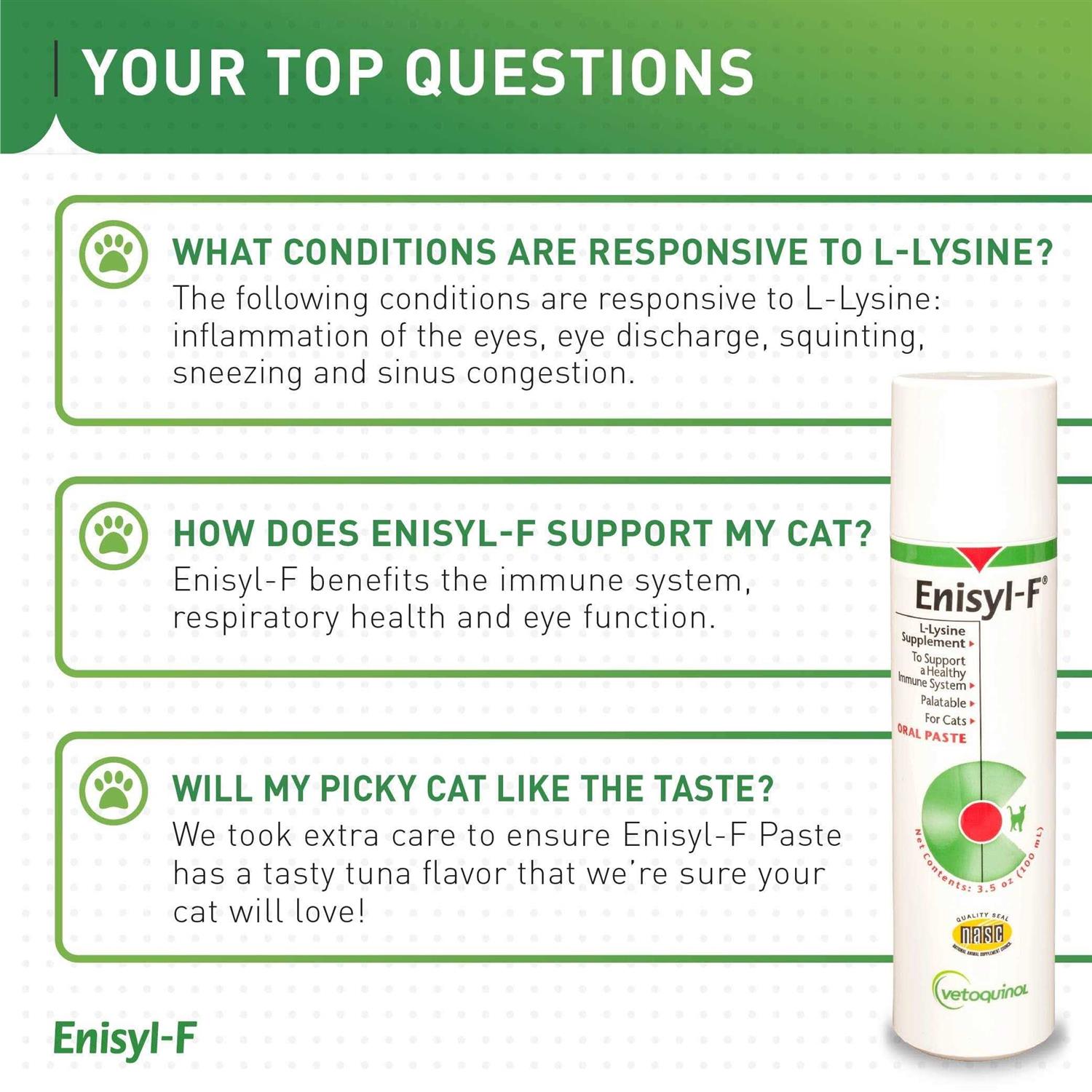 Enisyl F Oral Paste for Cats - Healthber