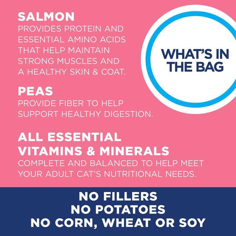 Natural Balance Limited Ingredient Diets Dry Cat Food - Healthber