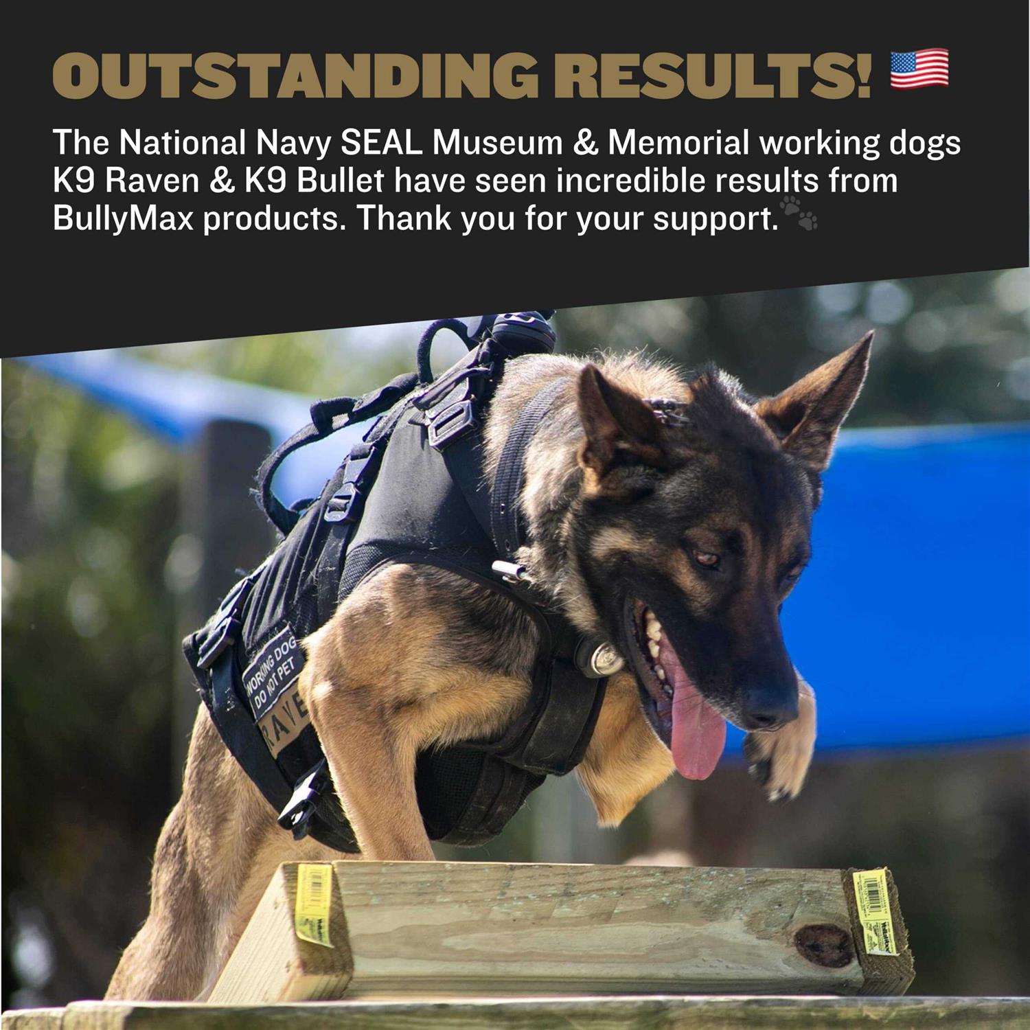 Bully Max Protein Powder for Dogs Supports Muscle Building & Muscle Gain #1-Rated Performance Brand Since 2009 - Healthber