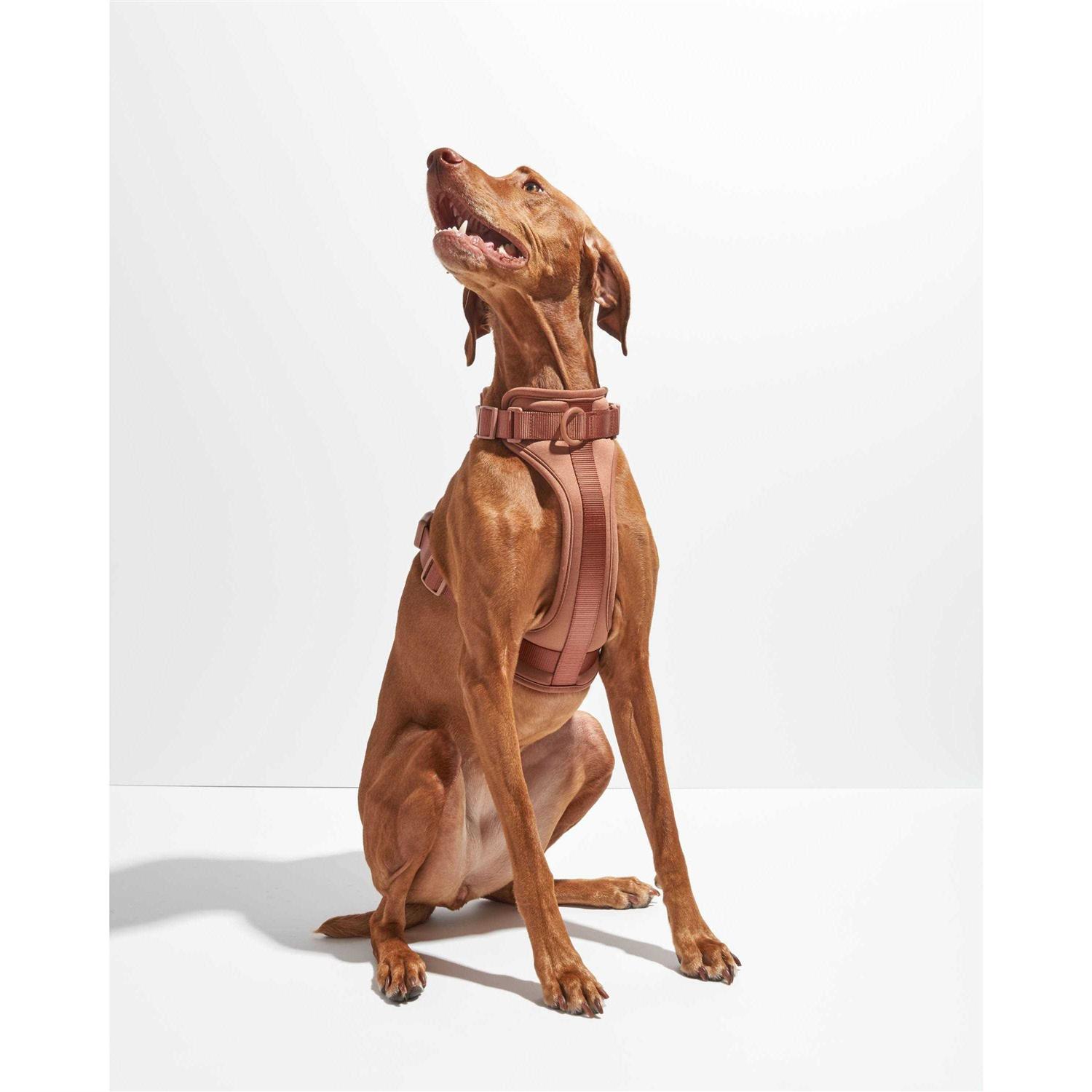 Wild One Dog Harness - Healthber
