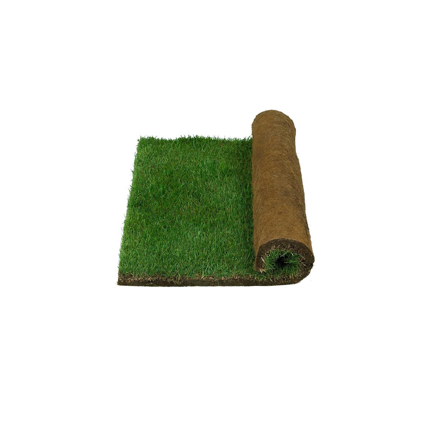 Patio Pet Life Real Grass Potty - Healthber