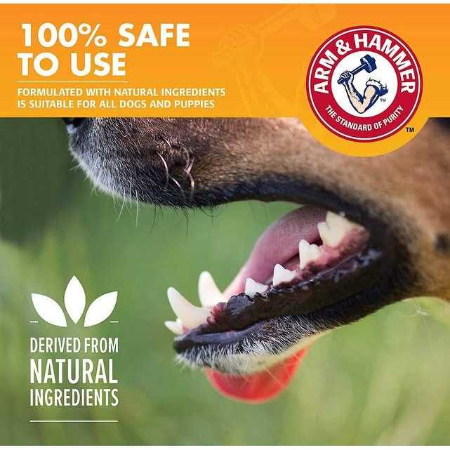 Arm & Hammer Fresh Breath Dental Kit for Dogs - Healthber