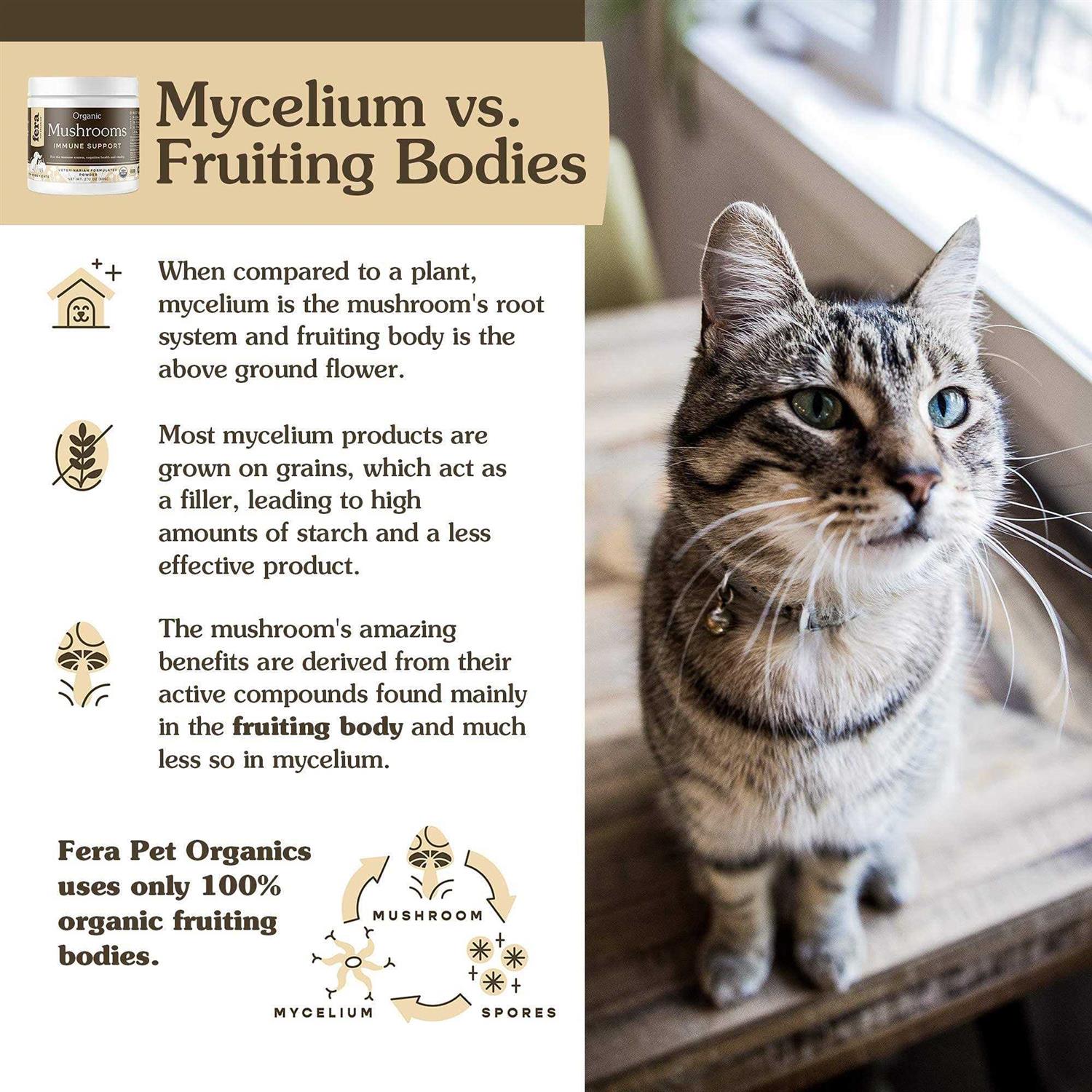 Fera Pet Organics USDA Organic Mushrooms Immune Support for Dogs & Cats - Healthber