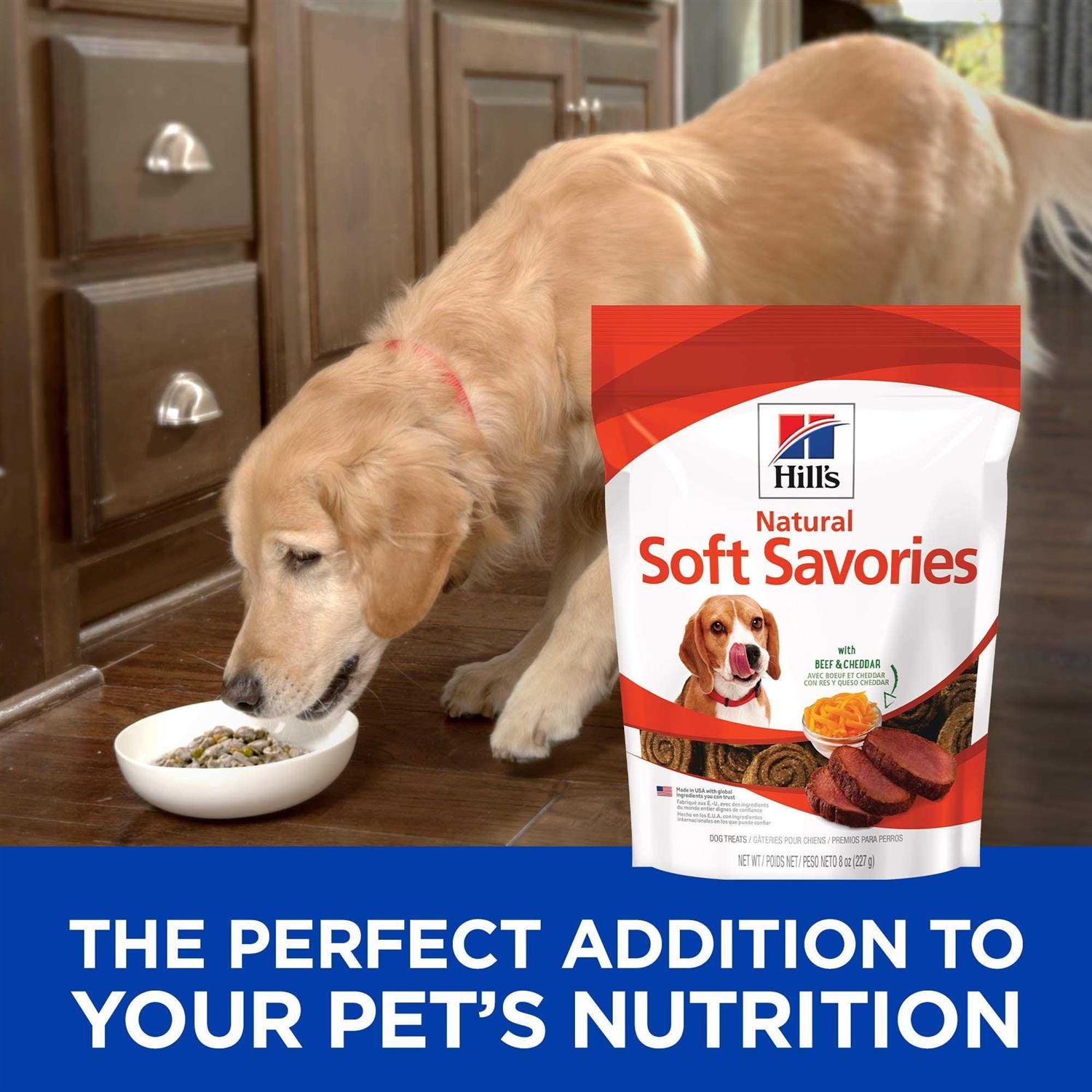 Hill’s Science Diet Soft Savories Beef & Cheddar Dog Treats - Healthber