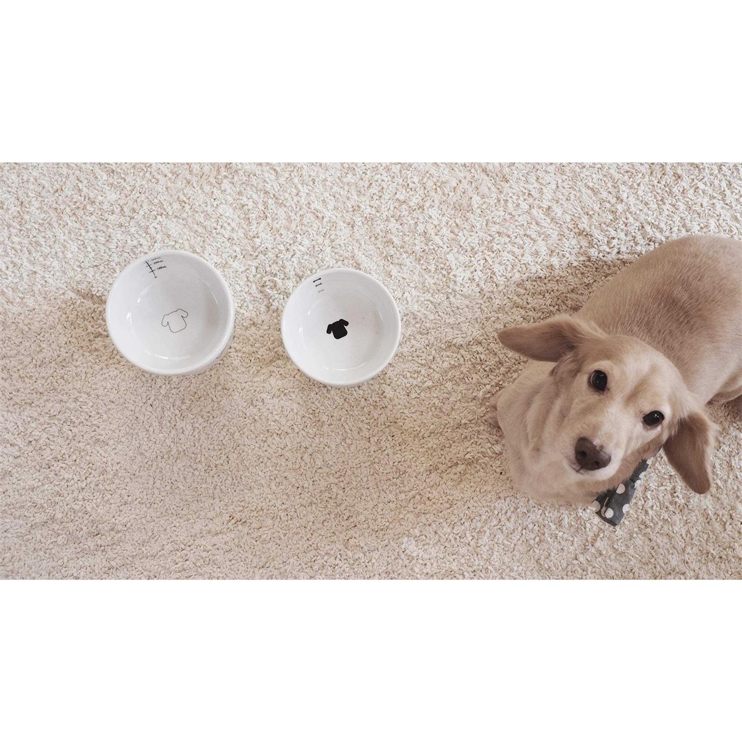 Necoichi Raised Dog Food Bowl - Healthber