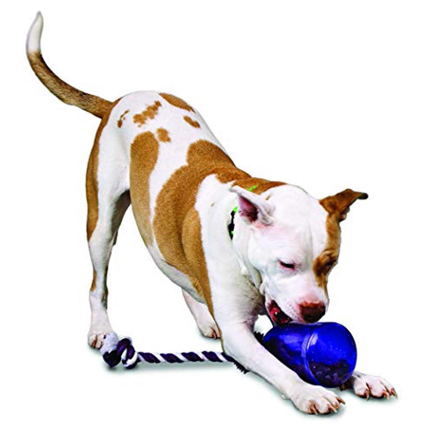 Busy Buddy Tug A Jug - Healthber