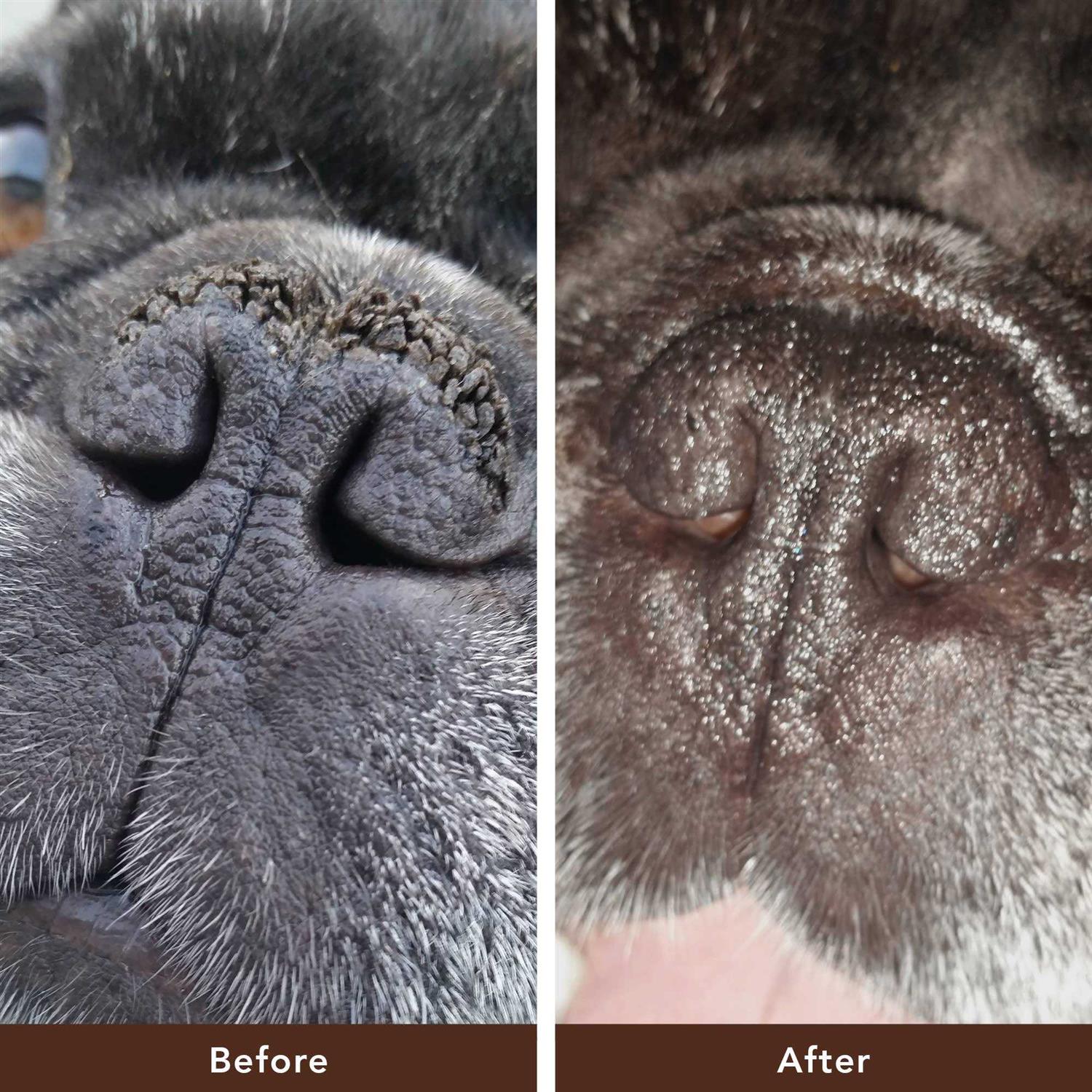 Natural Dog Company Snout Soother Travel Stick - Healthber