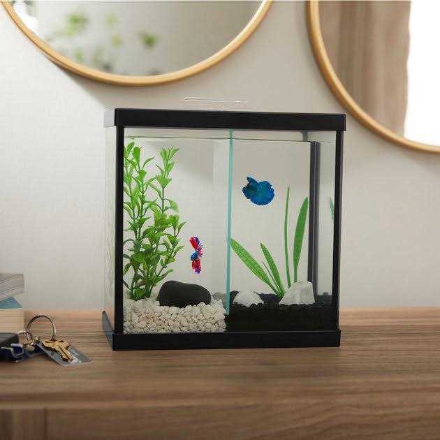Frisco 2 Betta Aquarium with Divider/Top - Healthber