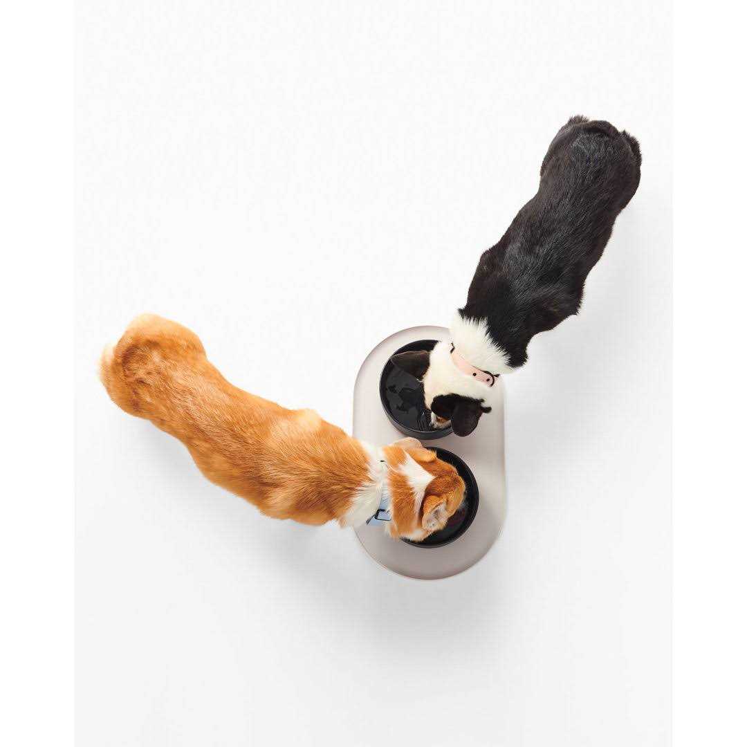 Fable Pets Signature Dog Bowl Mat - Healthber