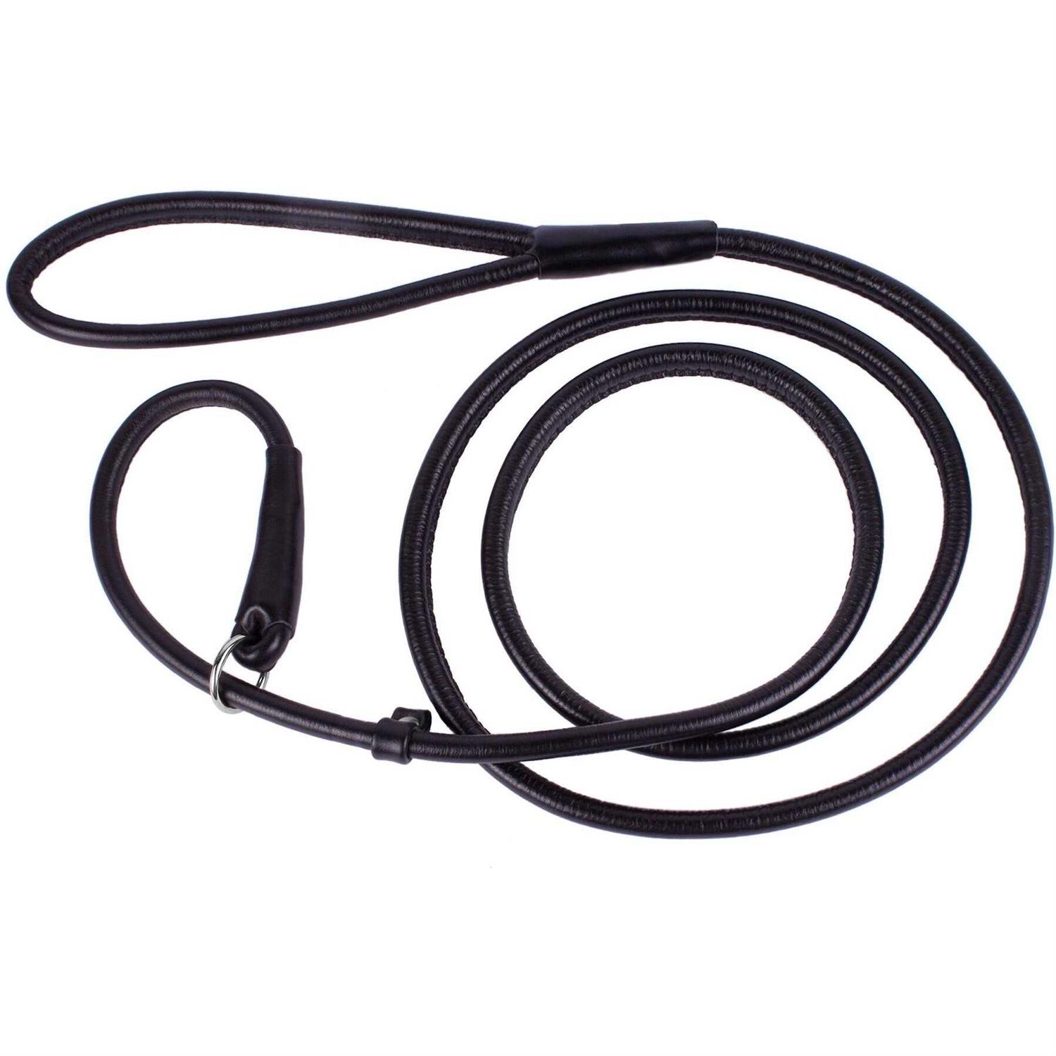CollarDirect Rolled Leather Dog Leash 4ft Soft Padded Training Leather Dog Lead 6ft - Healthber