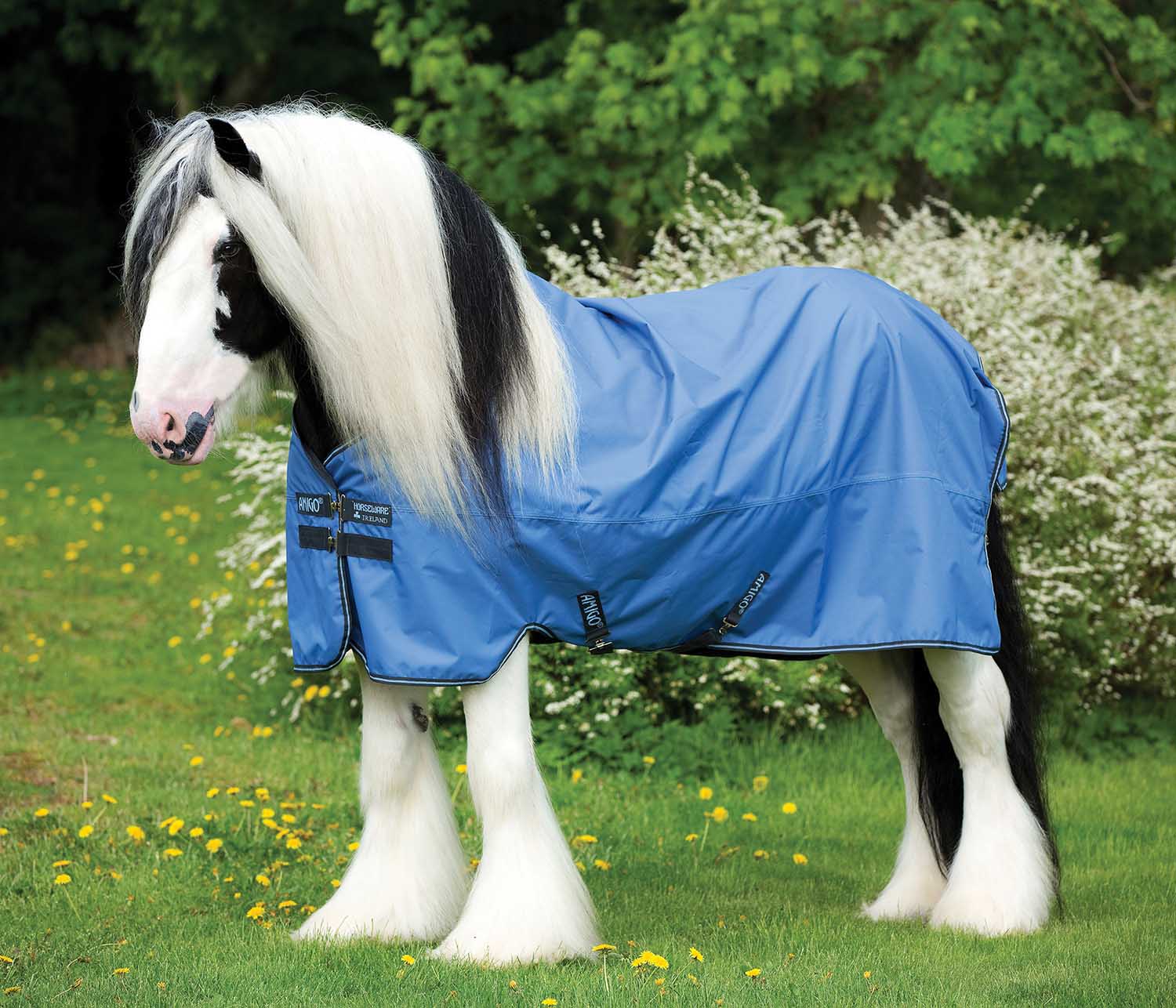Amigo Hero ACY XL Lite Turnout Blanket, Blue/Gunmetal - Healthber