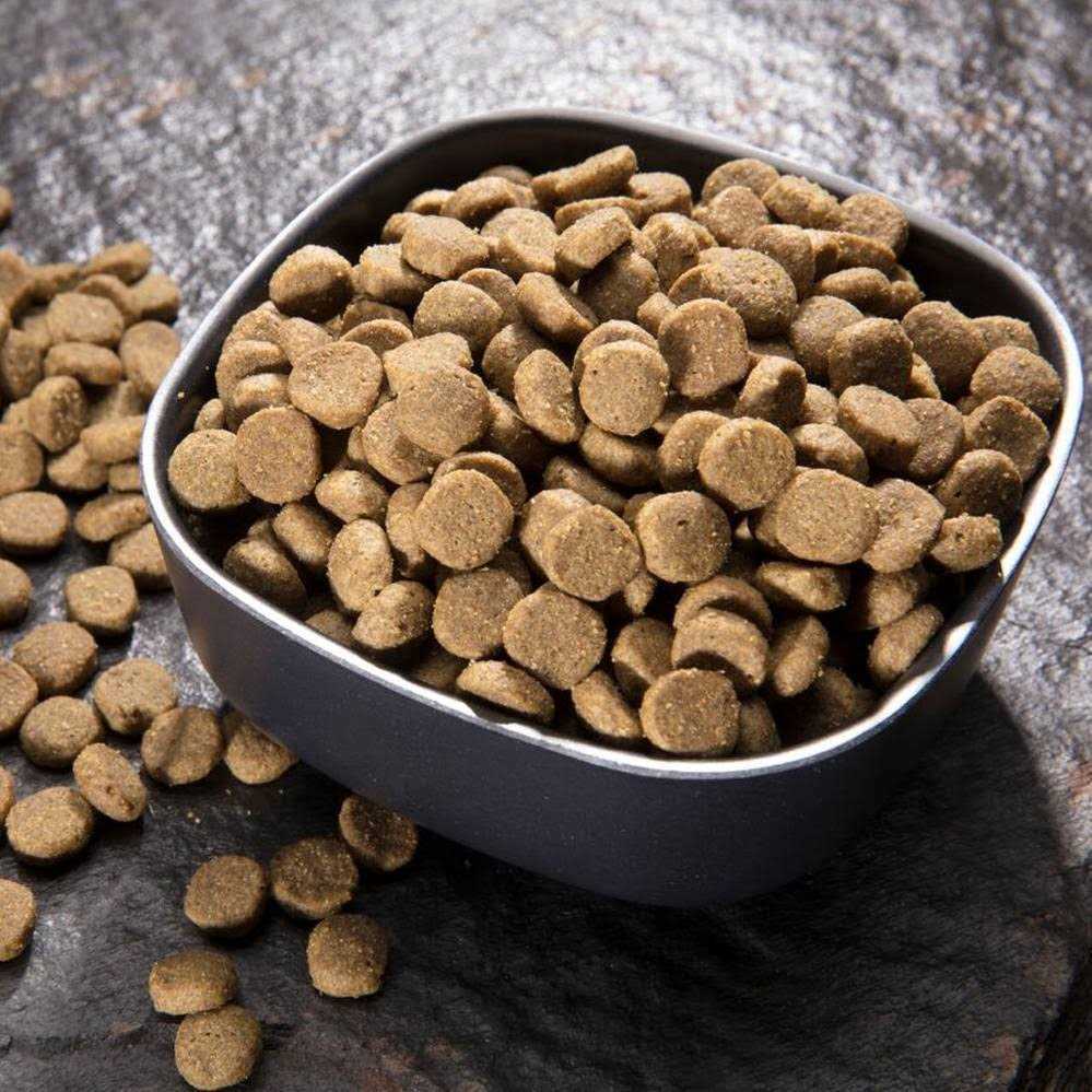 Crave Chicken Adult Protein Grain Free Dry Cat Food - Healthber