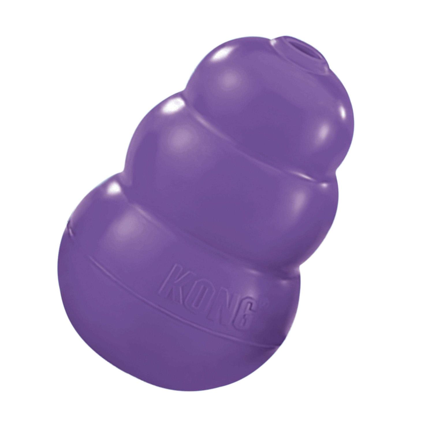 KONG Senior Dog Toy - Healthber