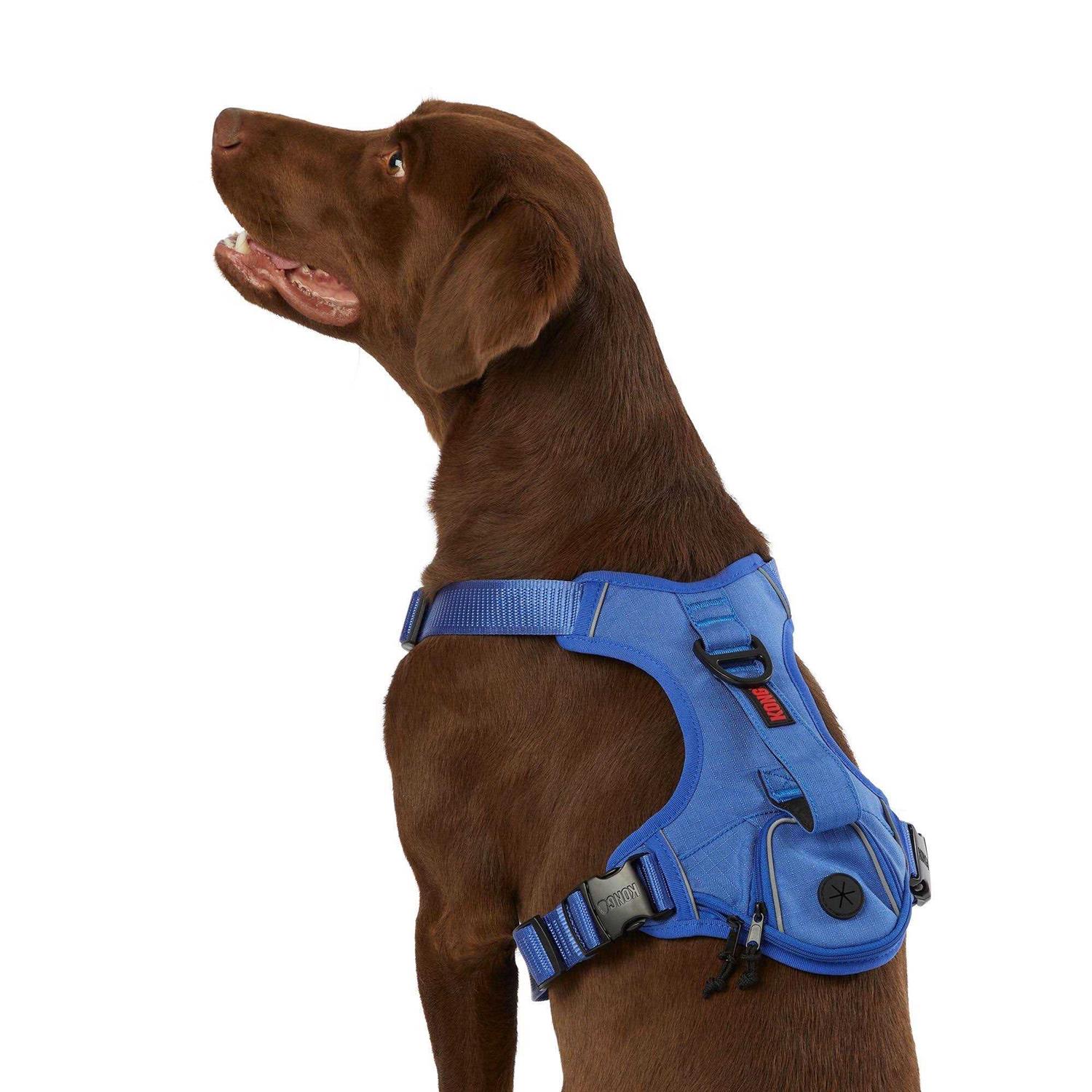 KONG Ultra Durable Waste Bag Harness - Healthber