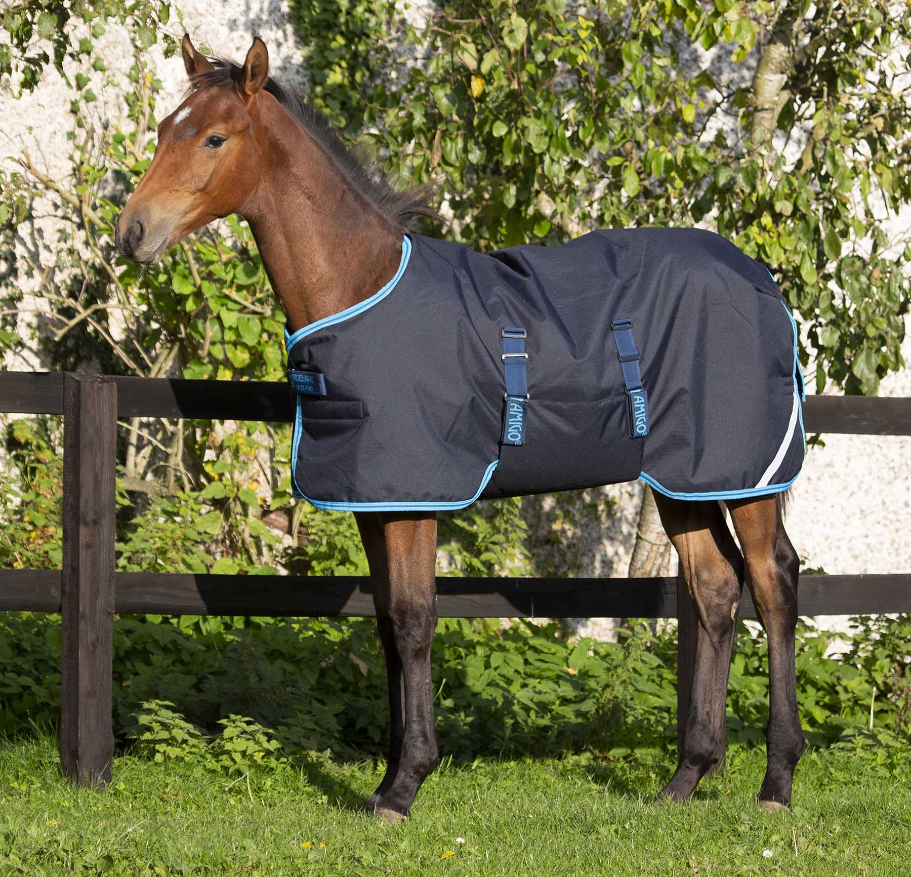 Amigo 600D Foal Blanket - Healthber