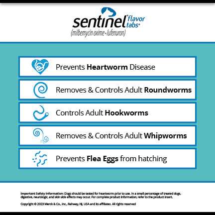 Sentinel Flavor Tabs for Dogs - Healthber