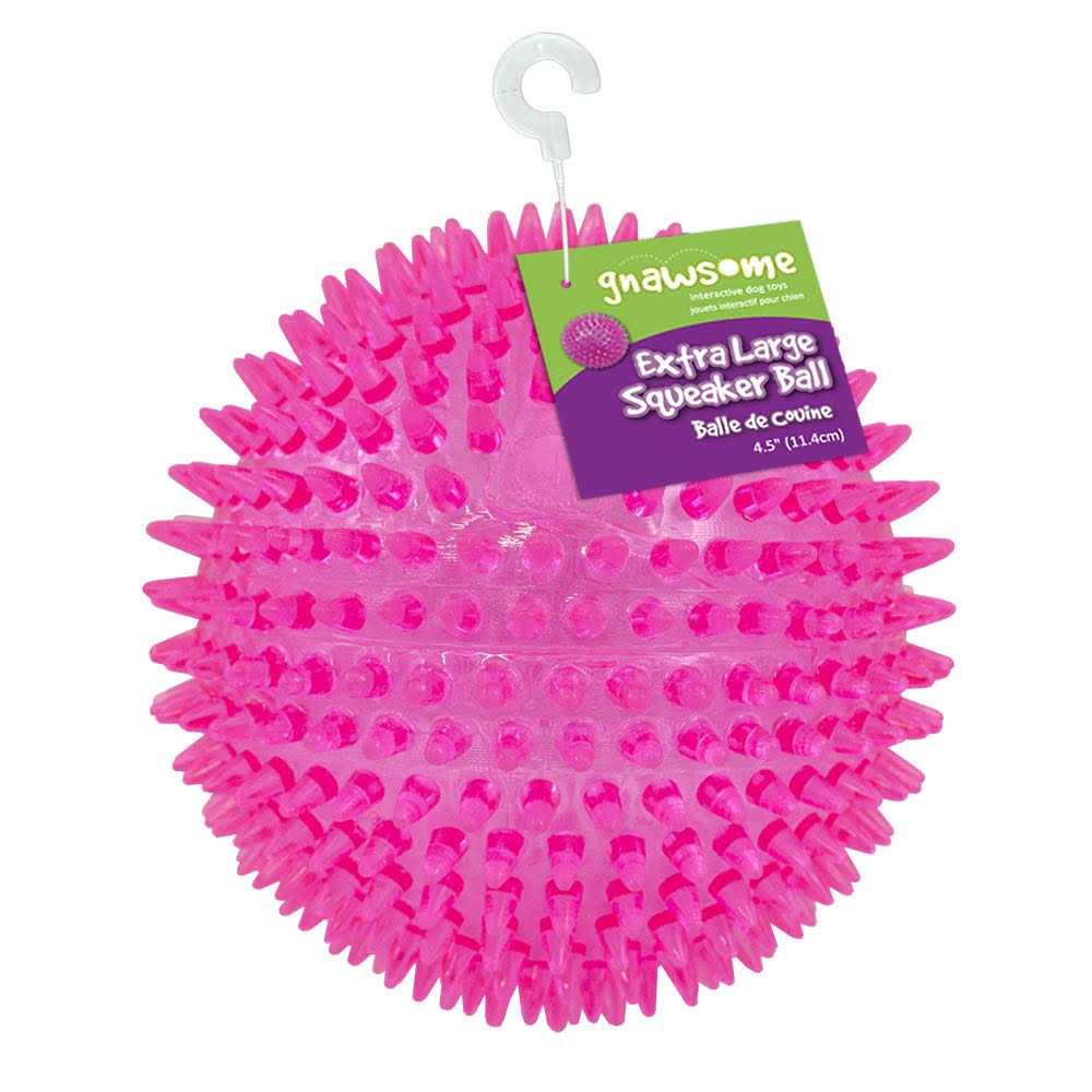 Gnawsome Squeaker Ball Dog Toy - Healthber