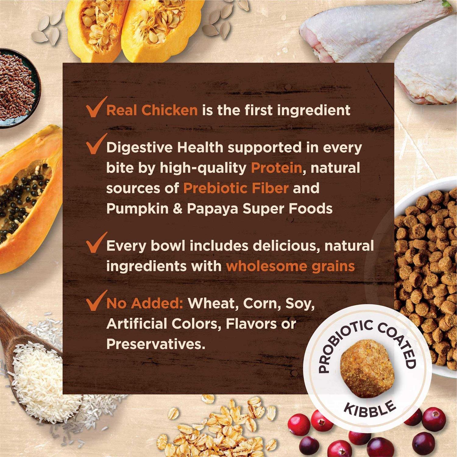 Wellness Core Digestive Health Chicken & Rice Dry Cat Food - Healthber