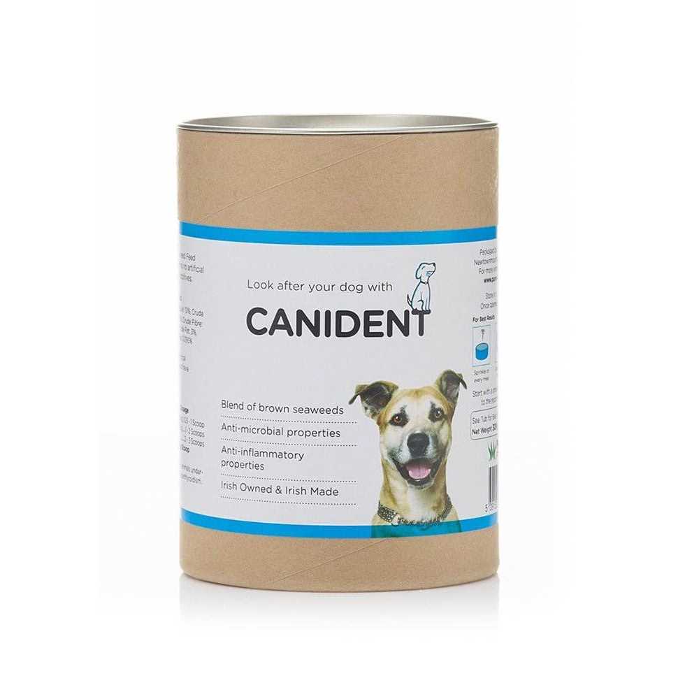 Canident Clean Dogs Teeth, Fix Bad Breath and Remove Plaque - Healthber