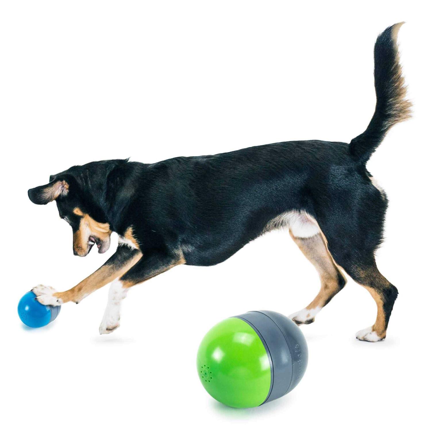PetSafe Ricochet Electronic Dog Toy - Healthber