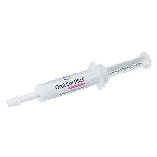 Revival Animal Health Breeder’s Edge Oral Cal Plus Fast-Absorbing Oral Calcium Supplement - Healthber