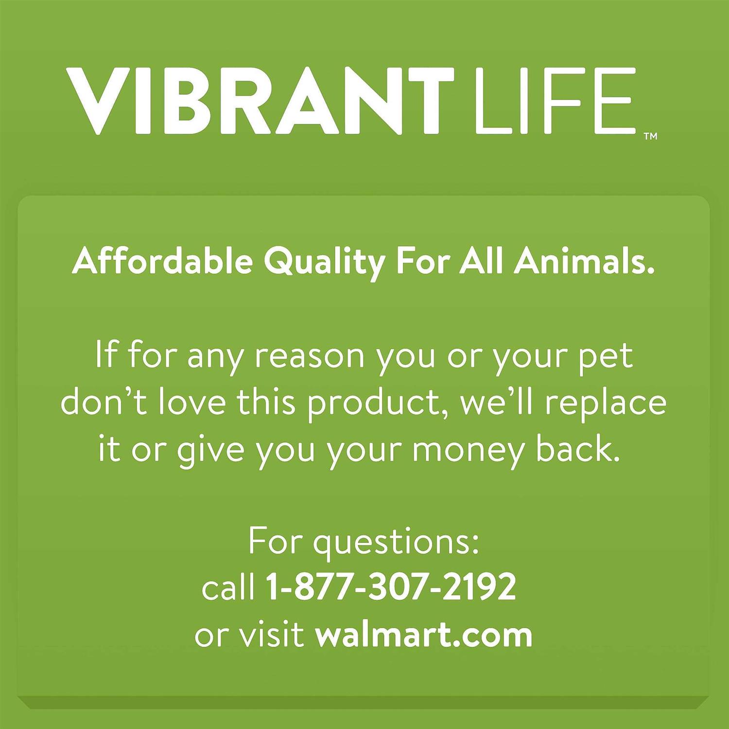 Vibrant Life Cat Toy Jellyfish Teaser with Catnip - Healthber