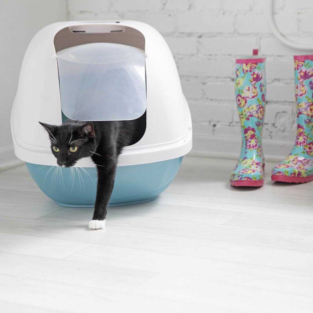 Petmate Basic Hooded Litter Pan - Healthber