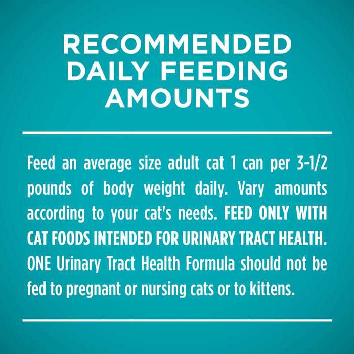 Purina ONE Urinary Tract Health Beef & Liver Recipe Pate Wet Cat Food - Healthber