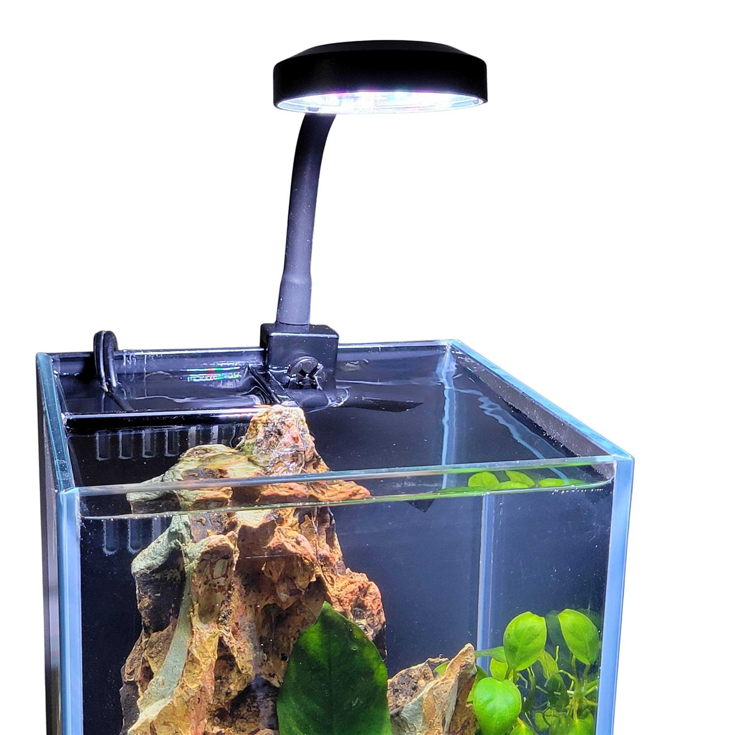 Lifegard Full Spectrum 2.5 Clip-on USB LED Light - Healthber