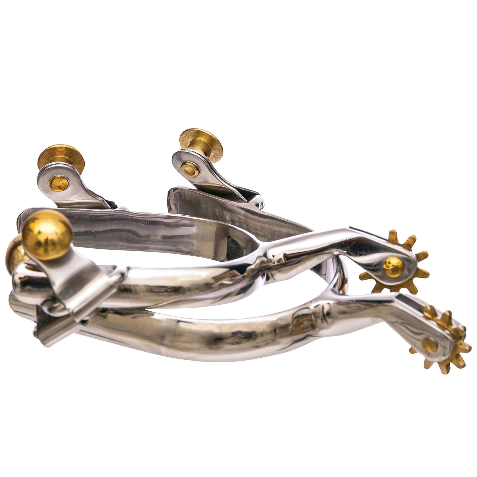 All-Around Stainless Steel 10 Point Spurs, Pairs - Healthber
