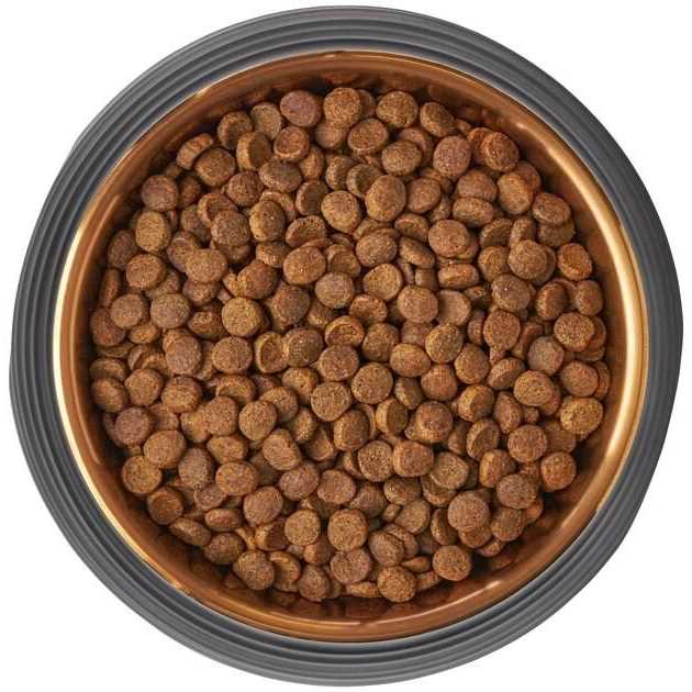 Frisco Matte Black Design Light Copper Stainless Steel Dog & Cat Bowl - Healthber
