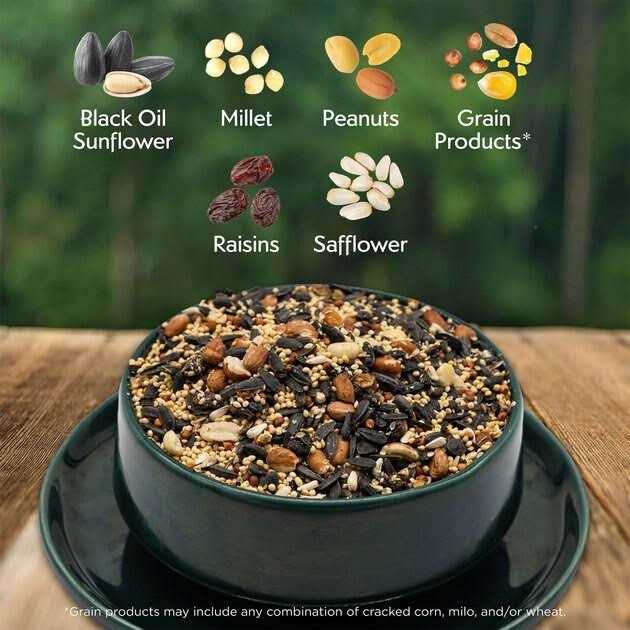 Morning Song Nut & Fruit Wild Bird Food - Healthber