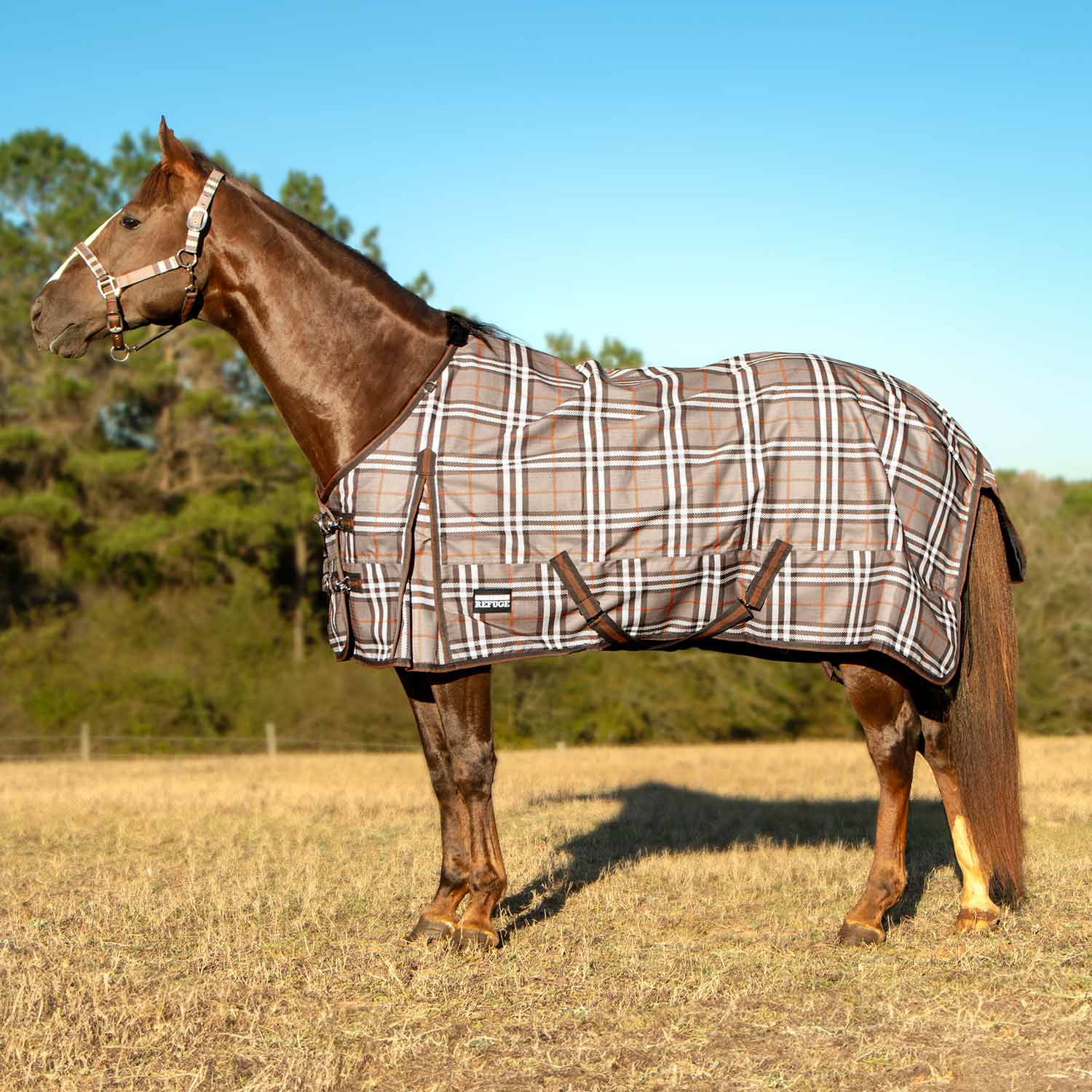 Poplar Head Refuge 1200 Denier Turnout Sheet, 0 Gram, Plymouth Brown Plaid - Healthber
