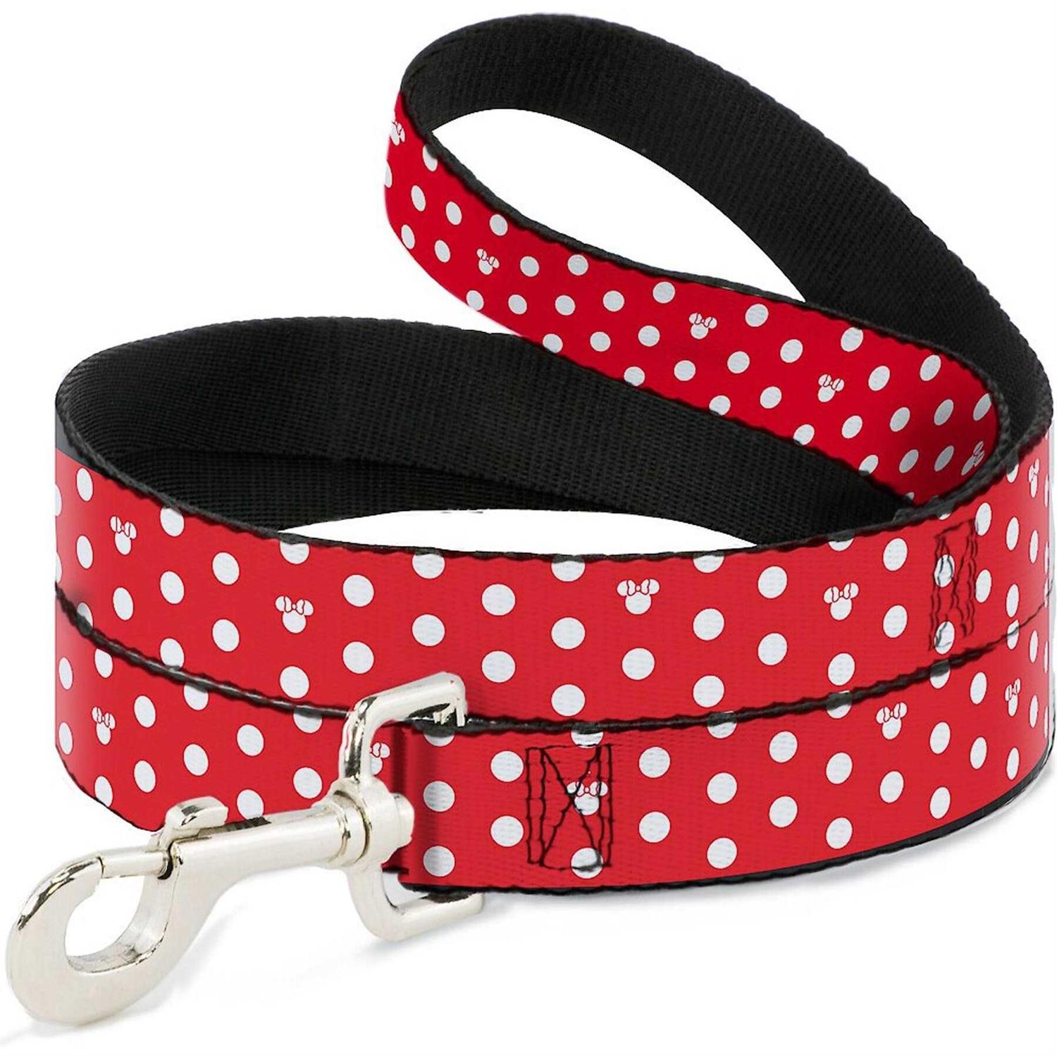 Buckle-Down Dog Leash - Healthber