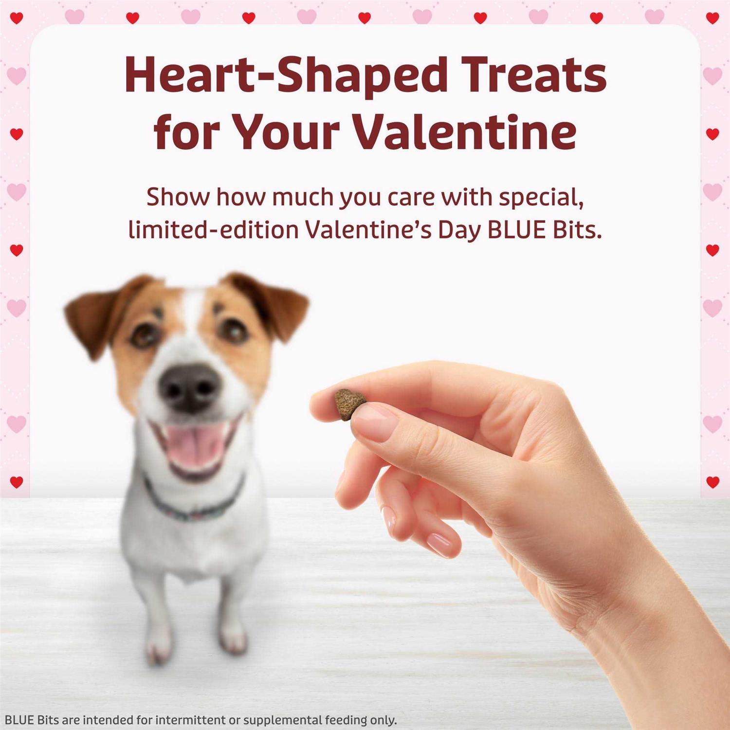 Blue Buffalo Valentine Blue Bits Chicken Recipe Natural SoftMoist Training Dog Treats - Healthber