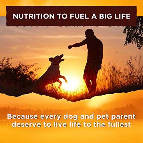 Nature’s Recipe Wet Dog Food Chicken Recipe in Broth - Healthber
