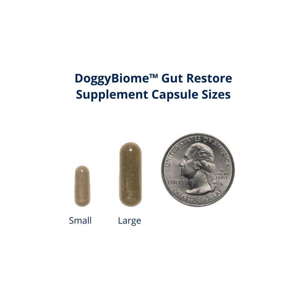 DoggyBiome Gut Restore Supplement 30 Capsules - Healthber