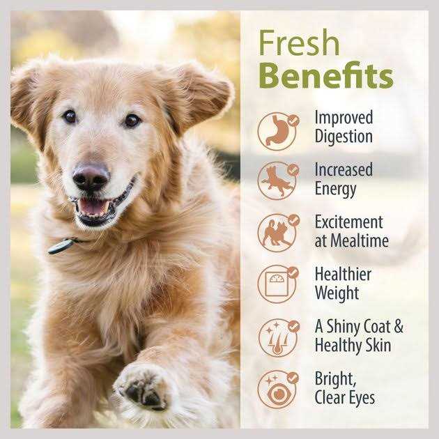 JustFoodForDogs Pantry Fresh Beef Chicken Variety Pack Dog Fresh Food - Healthber