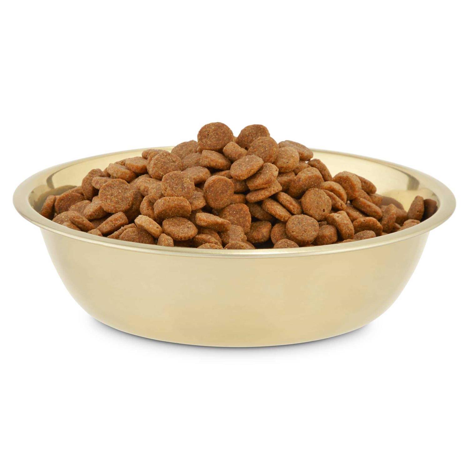 EveryYay Dining in Gold Stainless Steel Dog Bowl - Healthber