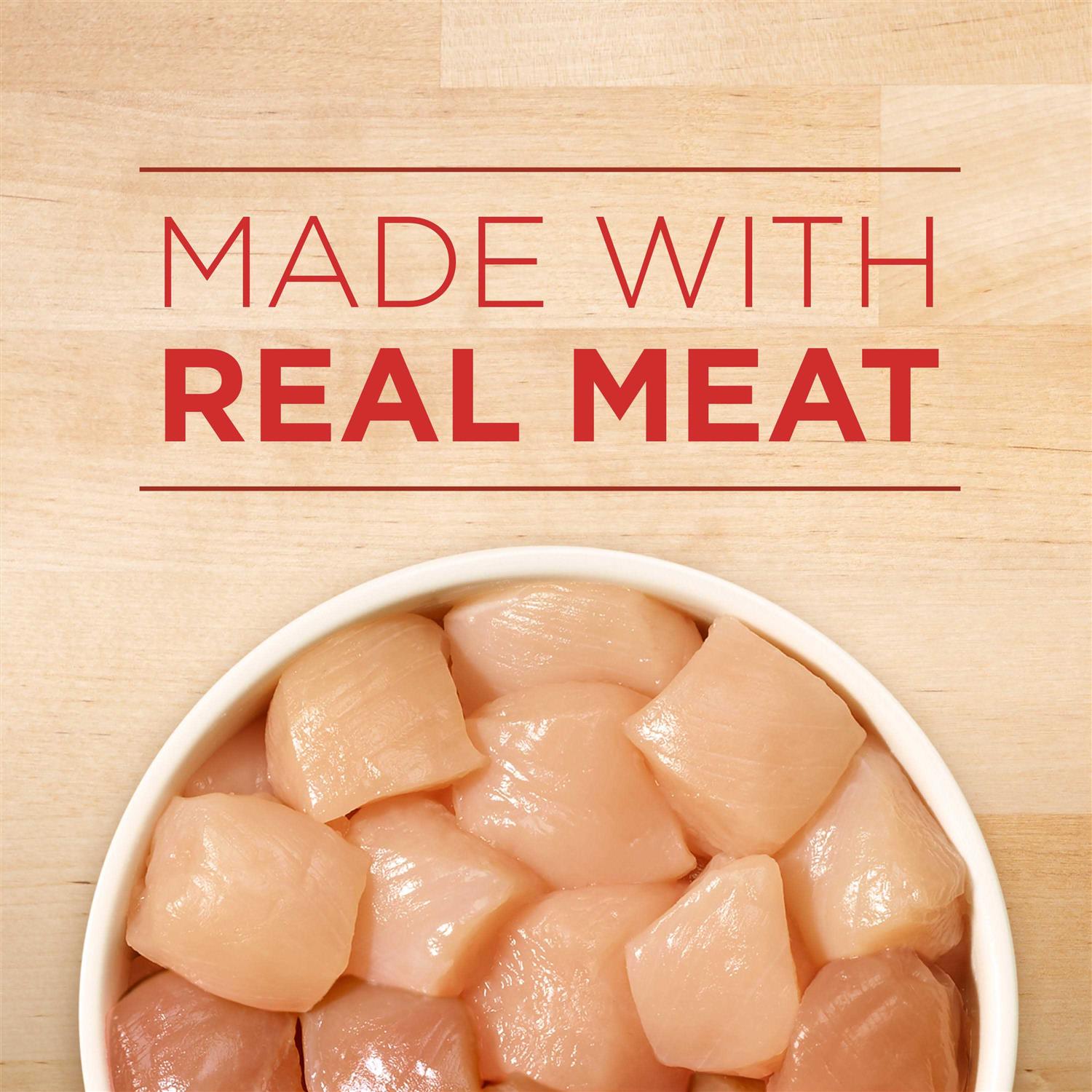 Purina ONE Tender Cuts in Gravy Chicken & Brown Rice Entrée Wet Dog Food - Healthber