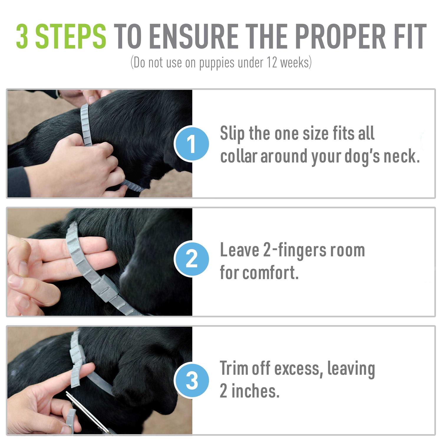 Adams Flea Tick Collar Plus for Dogs Puppies - Healthber