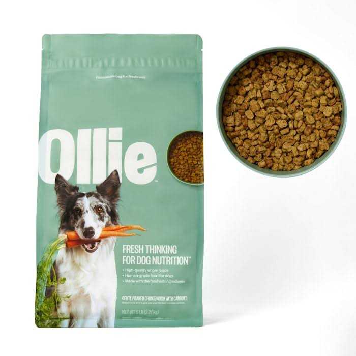 Ollie Baked Chicken Dish with Carrots Dry Dog Food - Healthber