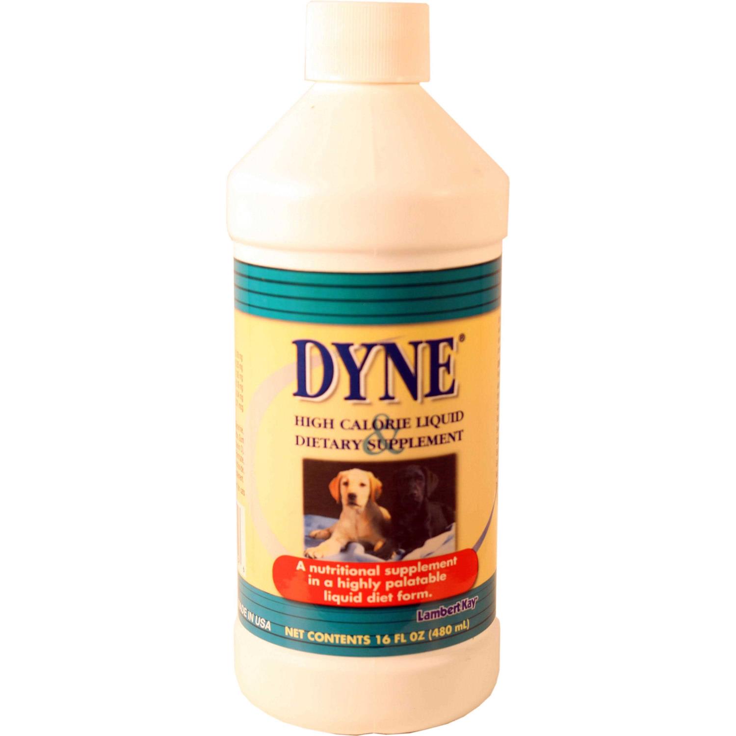 Dyne High Calorie Liquid Nutritional Supplement for Dogs & Puppies - Healthber
