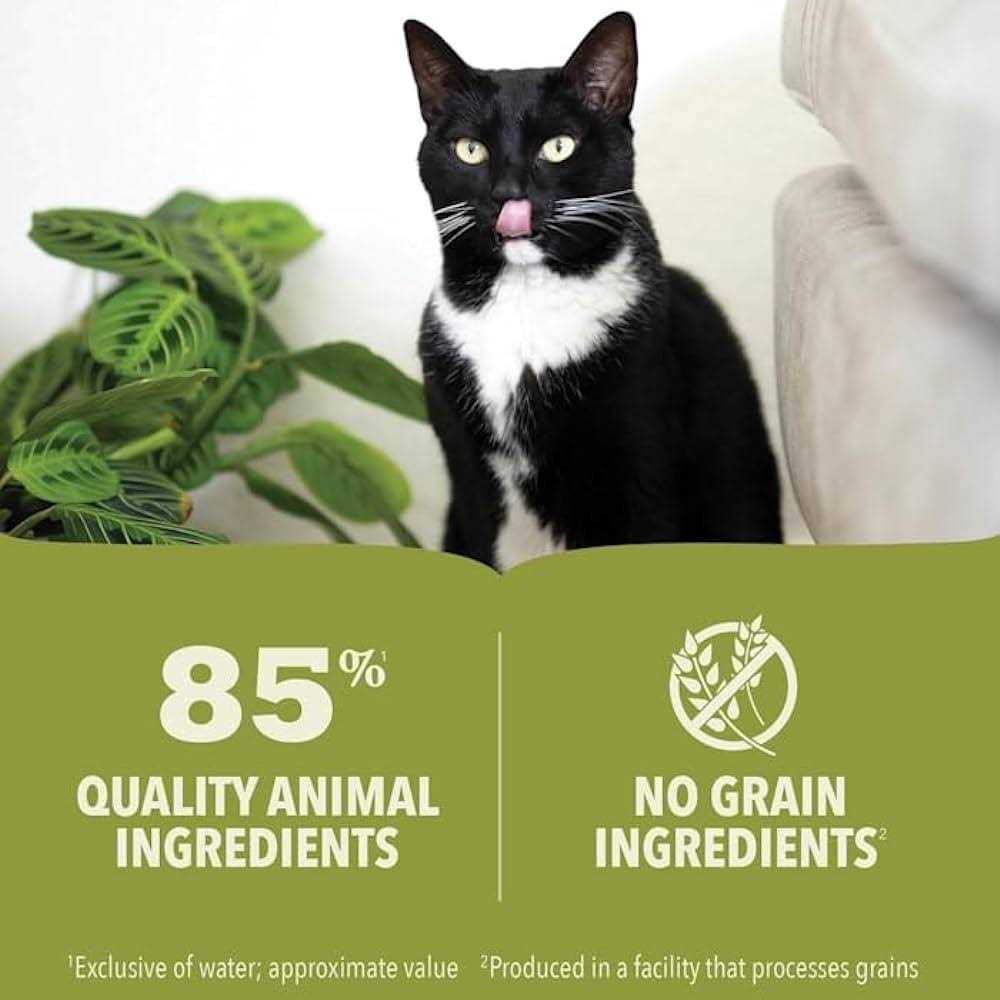 Acana Chicken & Tuna Kitten Recipe Wet Cat Food - Healthber